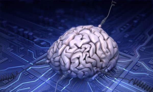 A human brain connected with wires rests on a blue circuit board background, symbolizing the fusion of technology and the human mind. It's as if we are attempting to rewire consciousness itself. The scene is illuminated with a futuristic, glowing light, reminiscent of an active hard drive.