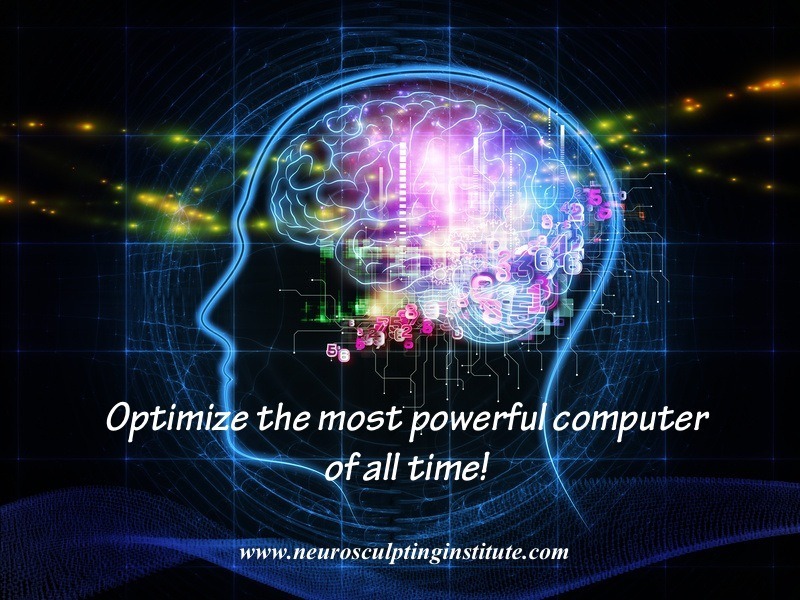 Digital illustration of a human head profile with a colorful brain composed of circuit patterns and glowing lights, akin to the mysterious work of modern magicians. Text reads, "Optimize the most powerful computer of all time!" Website URL at the bottom.