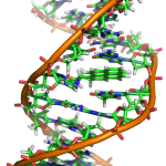 dnacode