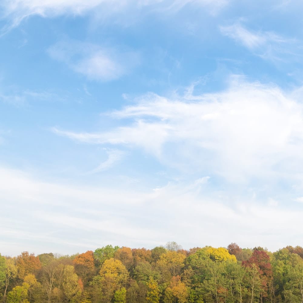 Recalibration Exercise From New Beliefs, New Brain