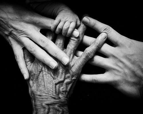 A black and white image captures the hands of different ages— a baby's tiny hand, a smooth adult's, and an elderly's wrinkled one—layered together. This symbolizes generational connection and unity, subtly echoing the shadows of epigenetic trauma through time.