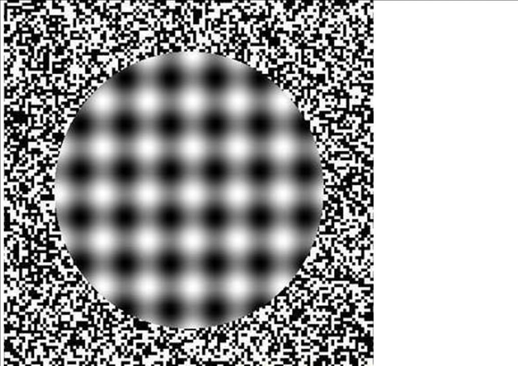 A circular pattern with a black and white grid appears on the left, surrounded by a dense, pixelated border, creating an illusion. To the right is a plain white vertical section.