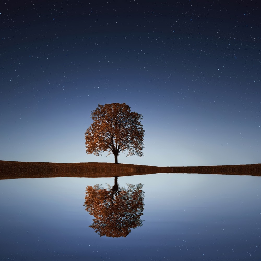 Basic Neurosculpting® Induction Meditation