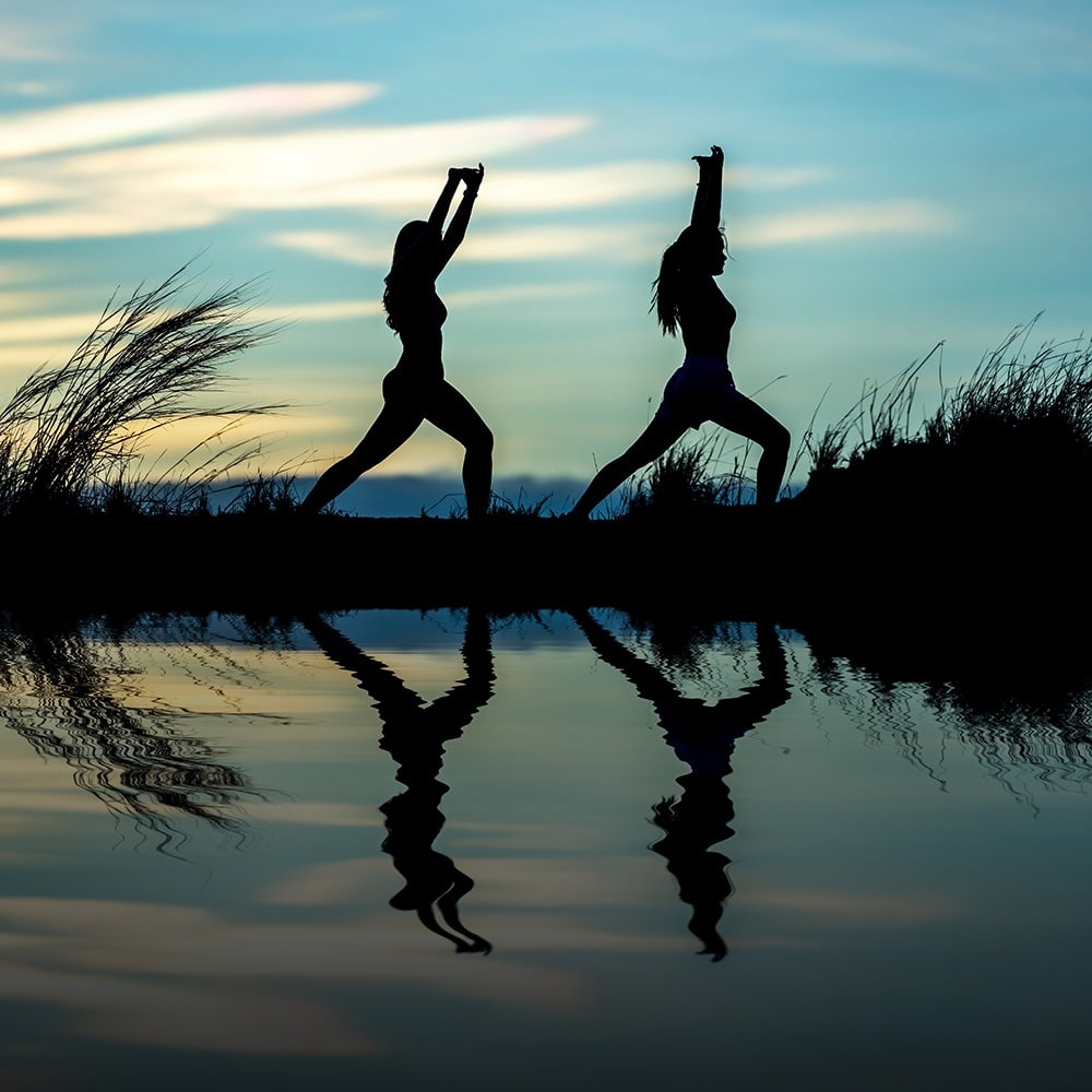 Neurosculpting® Yoga One-hour Introductory Class – On Demand Video!