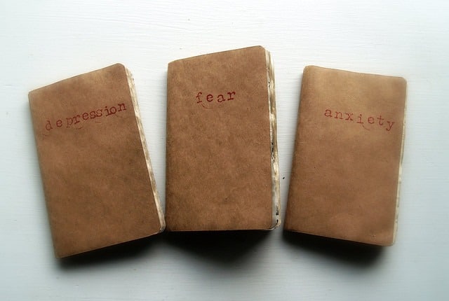 Three small, brown notebooks are lined up against a white background. Each one bears a word in red typewriter-style font: "depression," "fear," and "anxiety." It's reminiscent of Susan Aplin Pogue’s work, exploring how we confront emotions often hidden in plain sight.