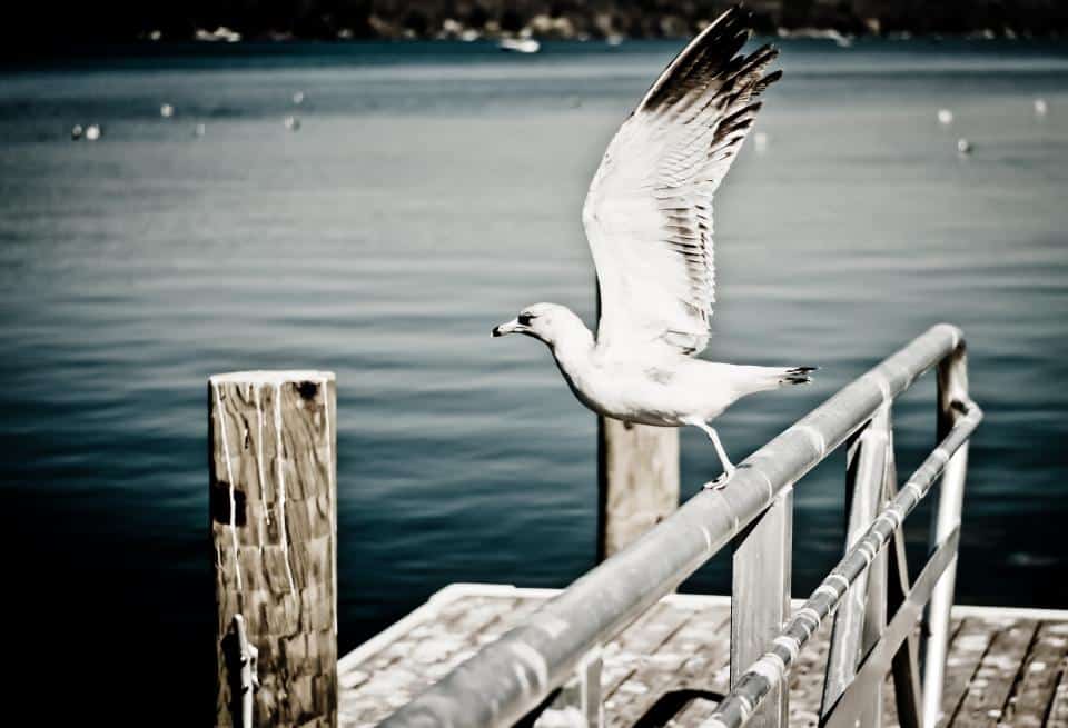 Practicing Detachment