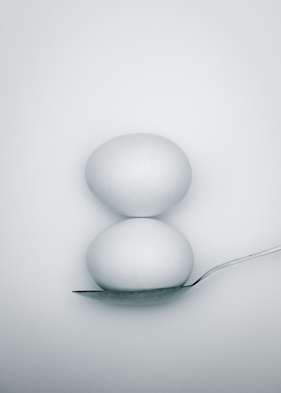 The Habit of Breaking Habits