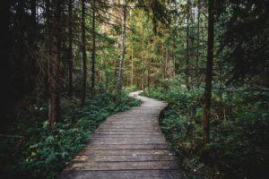 Path