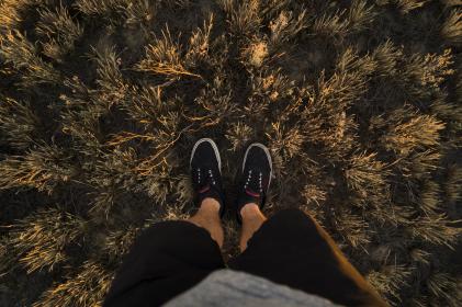 feet