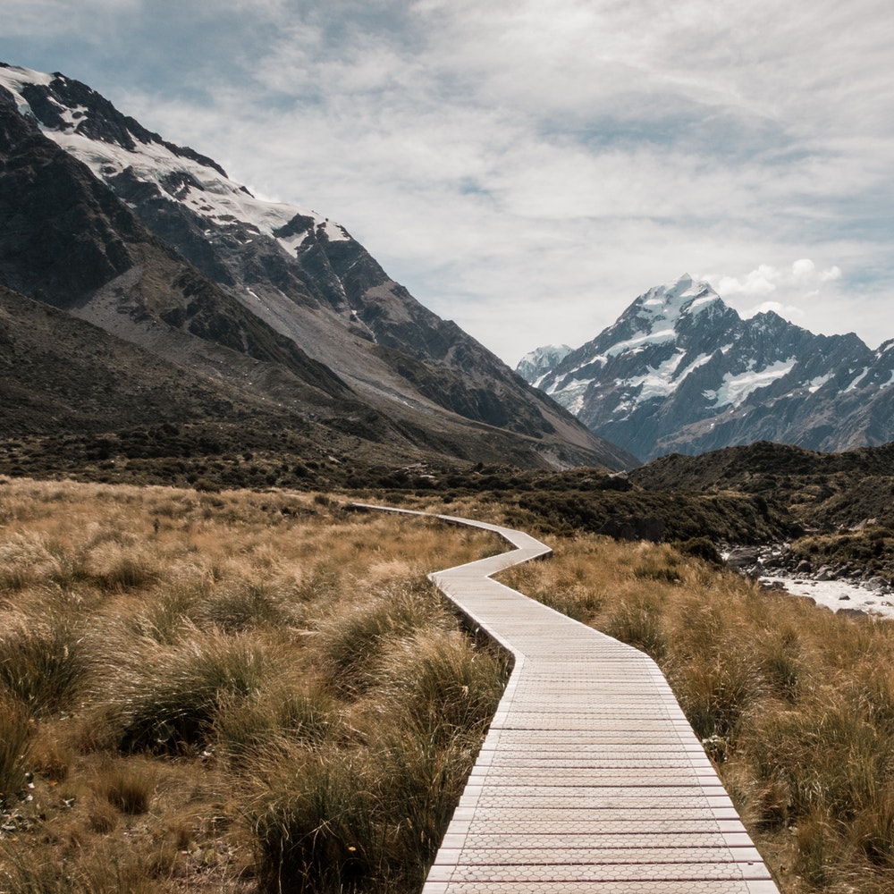 Leadership For Life – 2.75 Hour Neurosculpting Meditation Course