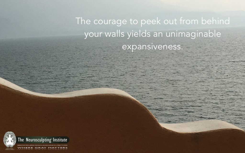 A view of the ocean over a curved wall with a quote: "The courage to peek out from behind your walls yields an unimaginable expansiveness." Experience transformative brain training with Shanti Medina at The Neurosculpting Institute, where gray matters.