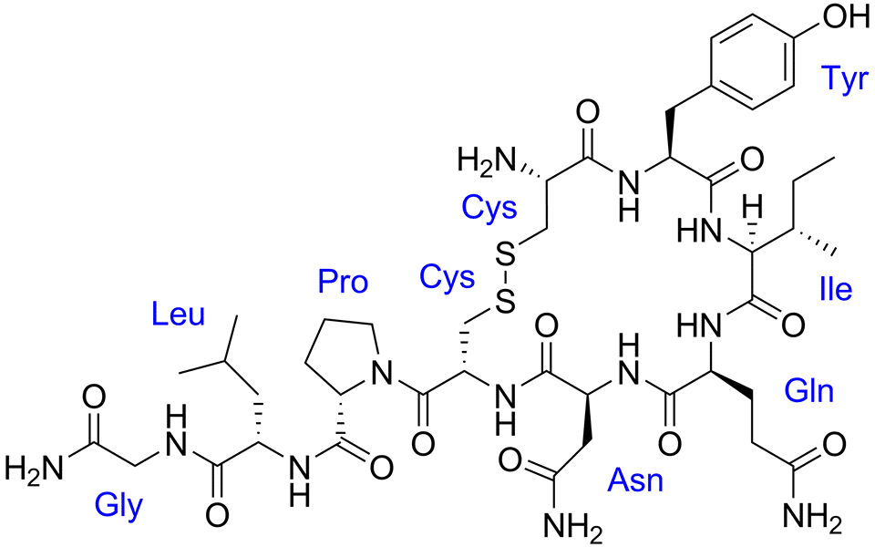 oxytocin