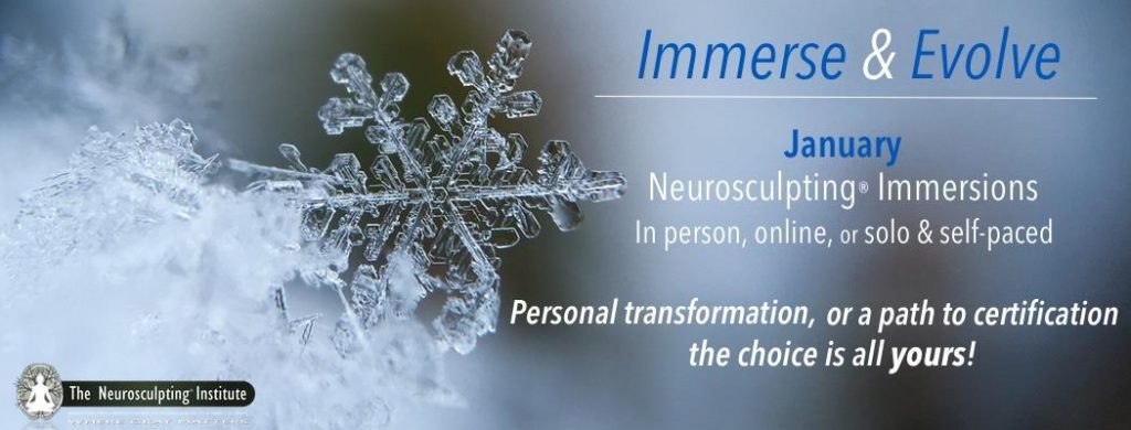 A detailed snowflake is shown in close-up on a white background. Text reads: "Immerse & Evolve with Self-Directed Neuroplasticity. January Neurosculpting Immersions at the Neurosculpting® Institute. In-person, online, or solo & self-paced options await your personal transformation or path to certification!.