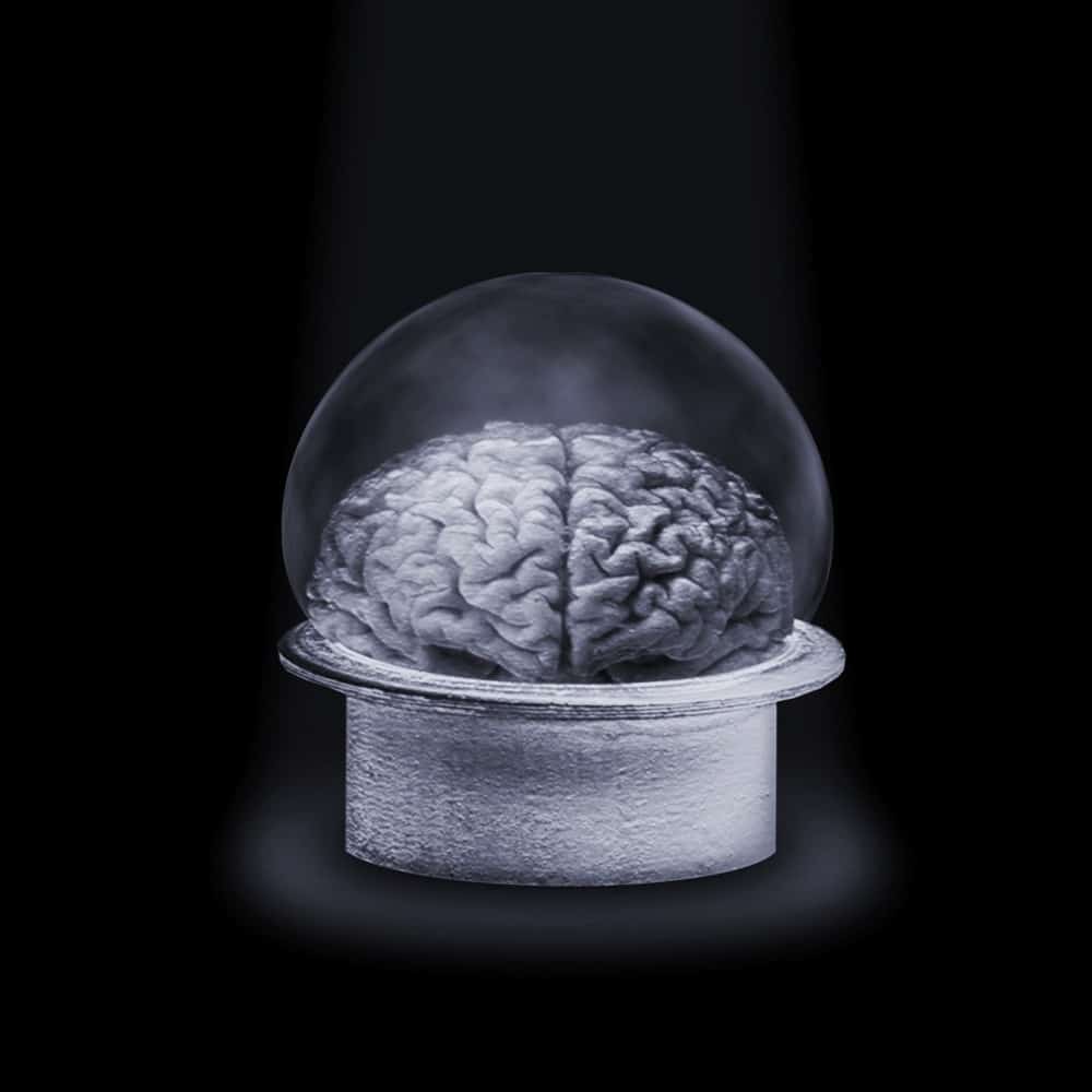 A model of a human brain encased in a clear glass dome, set on a metallic base against a dark background. A spotlight highlights the brain, creating a dramatic effect, symbolizing tools for navigating trauma with Jody Domerstad's expertise illuminating the path to healing.
