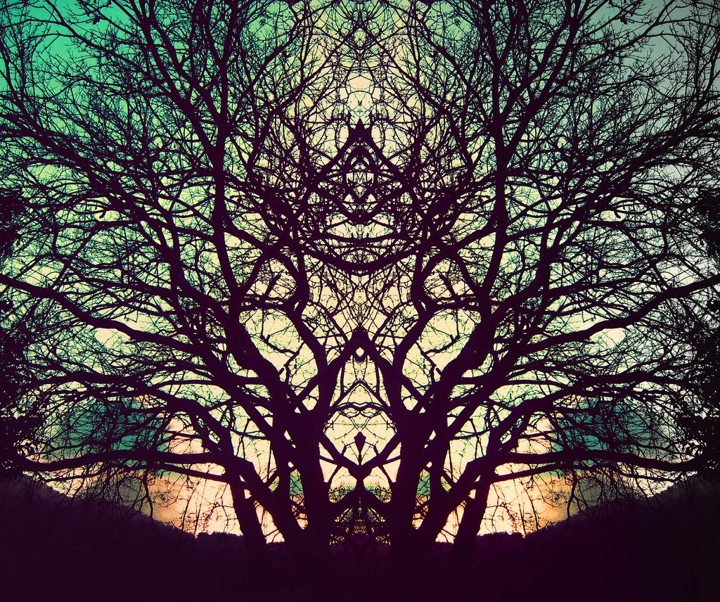 The symmetrical silhouette of intricate tree branches against a twilight sky evokes a sense of struggle, creating a mirrored effect. As the sky shifts from teal to orange near the horizon, it enhances the artistic, abstract appearance reminiscent of Tamme Buckner's evocative art.