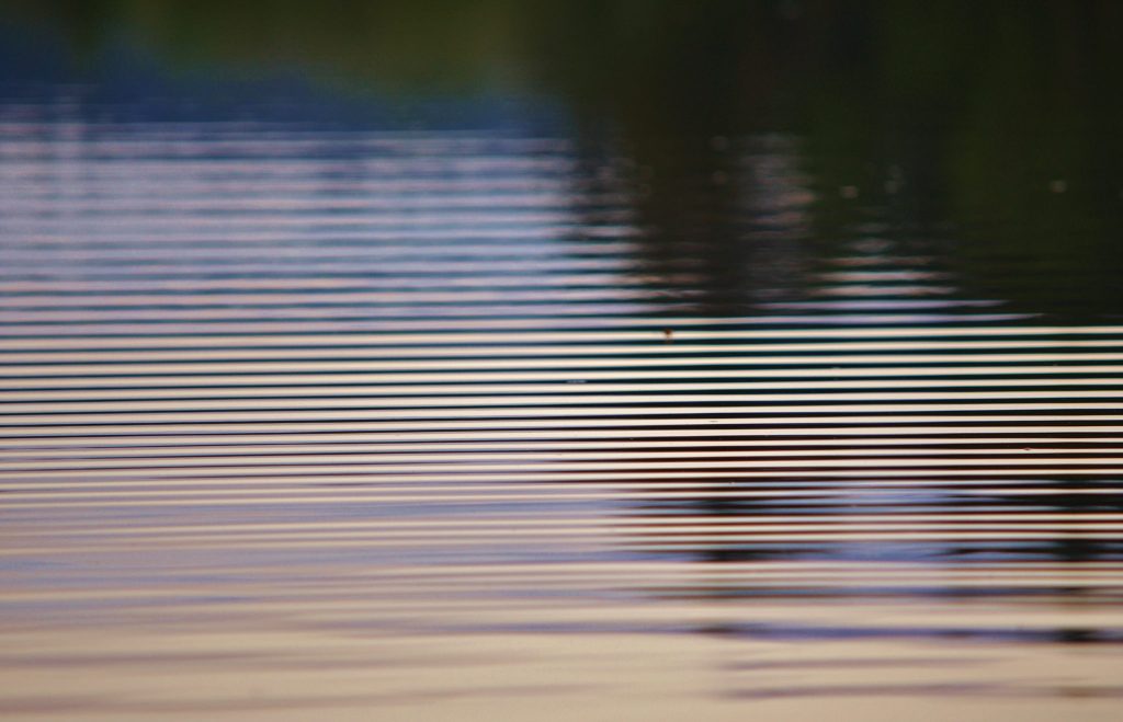 The calm water surface, echoing Kelley Seriano's essence, showcases gentle ripples reflecting soft purple and orange hues from the sky. It's a serene atmosphere where each ripple into freedom mirrors tranquility and peace.