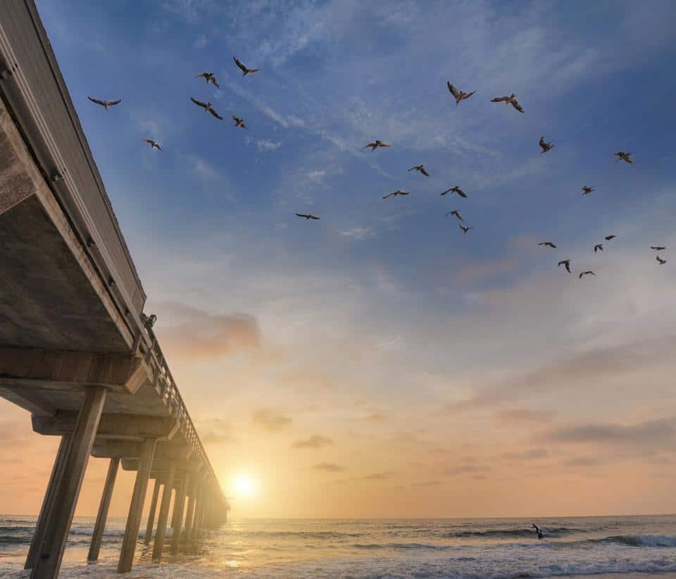A pier extends over the ocean at sunset with a clear sky. Birds soar above the water, and gentle waves approach the shore. Embrace the present moment as the scene exudes tranquility, highlighted by the warm glow of the setting sun.