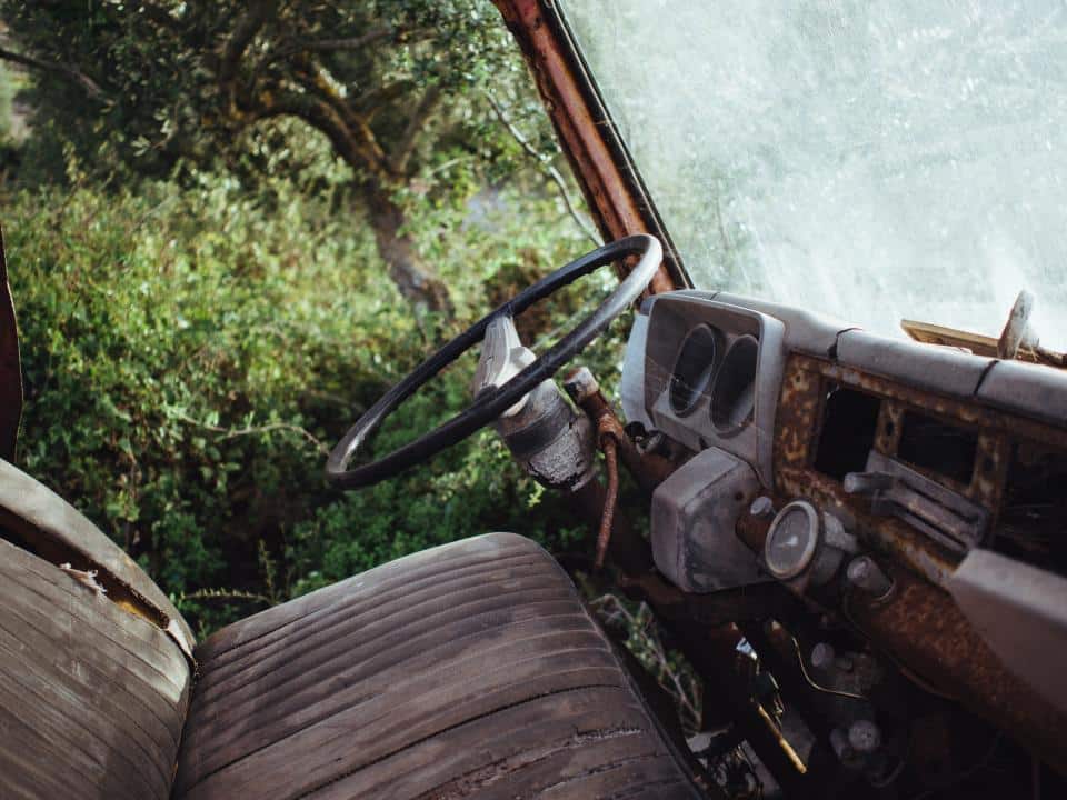 The interior view of a rusted, abandoned vehicle with a cracked windshield tells a story of decay and resilience. The steering wheel and dashboard are deteriorated, the seat worn, while greenery visible through the window hints at nature’s gentle reclamation—a scene reminiscent of Travis Rumsey's ethos to walk your own path.