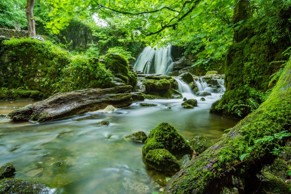 A serene forest scene with a small waterfall cascading into a clear, moss-lined stream. Sunlight filters through lush green trees, illuminating the water and rocks, creating a peaceful atmosphere that feels like the note of the day in nature's tranquil symphony.