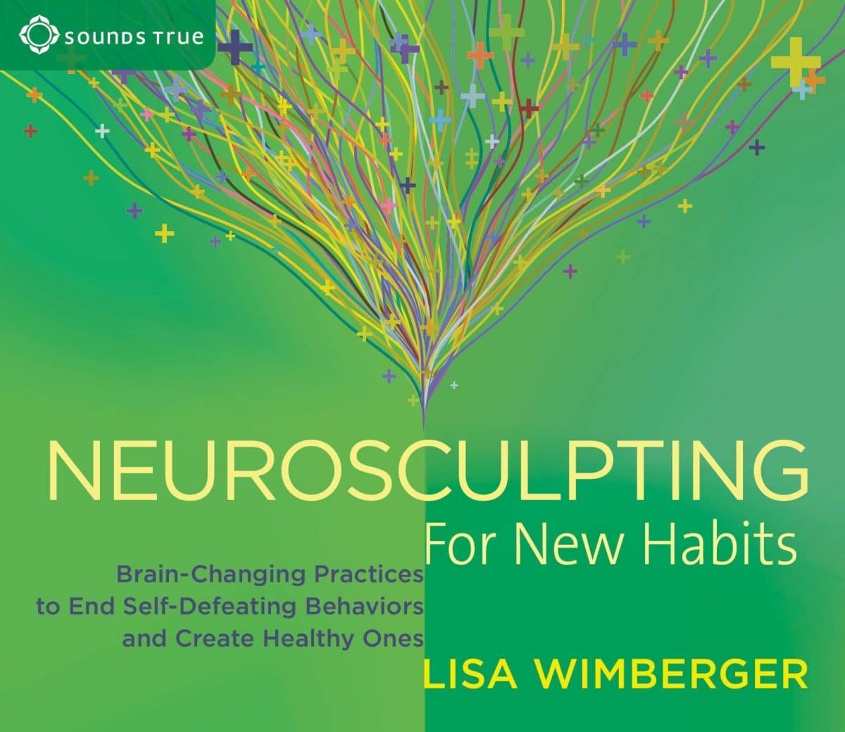 Neurosculpting for New Habits