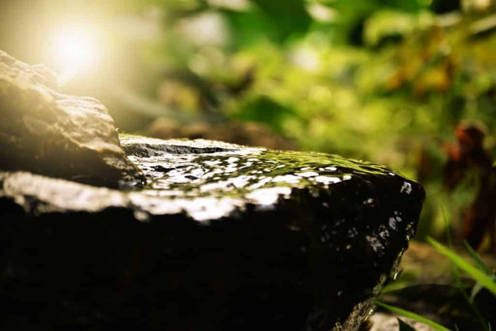Sunlight illuminates a small pool of water on a rock, creating a shimmering effect. The background is a soft blur of green leaves and plants, offering a serene escape from inevitable stress.