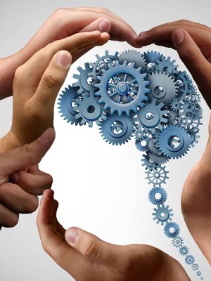 Hands of diverse skin tones form the shape of a human head filled with interlocking gears, symbolizing collaboration and the mechanics of thought. This imagery highlights the path of learning, with a gradient gray background emphasizing the hands and gears.