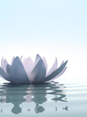 A serene image of a pale lavender lotus flower floating gently on calm water, reflecting its petals. The background is a soft gradient of light blue sky, cultivating a tranquil and peaceful atmosphere with an inherent sense of good.