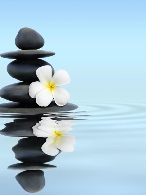 Smooth black stones stacked on a calm water surface, with a white plumeria flower resting atop, evoke tranquility. The blue sky reflects in the water, creating gentle ripples that seem to release stress, washing it away with each soothing wave.
