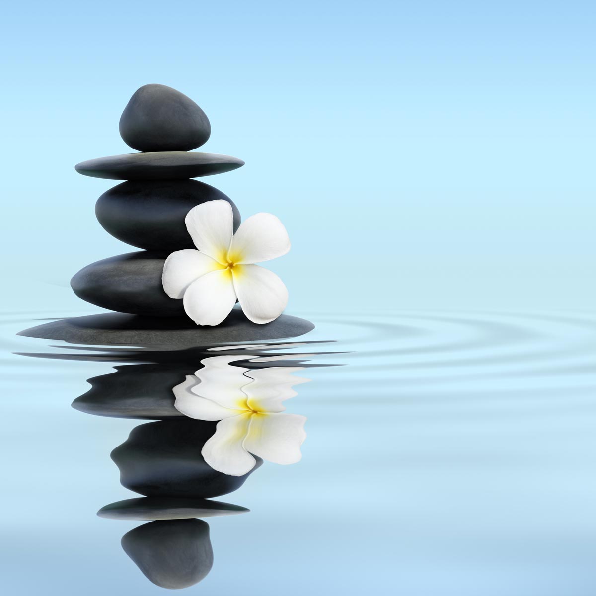 Smooth black stones stacked on a calm water surface, with a white plumeria flower resting atop, evoke tranquility. The blue sky reflects in the water, creating gentle ripples that seem to release stress, washing it away with each soothing wave.