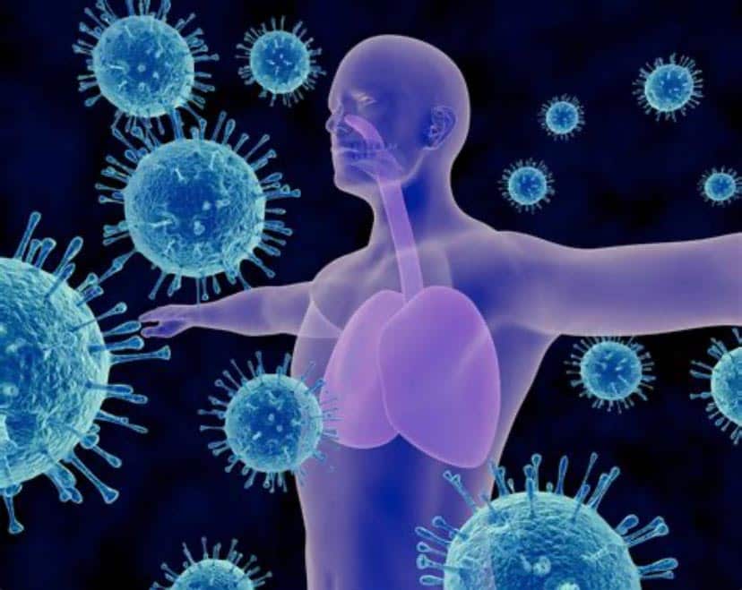 Illustration of a transparent human figure with extended arms, showcasing lungs and respiratory pathways in pink, symbolizing the body's immune response. Large blue virus particles surround the figure as a defense against illness. A dark background contrasts this visualization of strengthening the body.