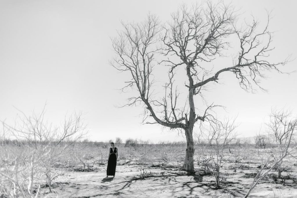 A black and white photo captures a barren landscape with a lone, leafless tree—a symbol of stress resilience. A person in dark clothing stands near the tree, their shadow stretching across the dry terrain under a clear sky.